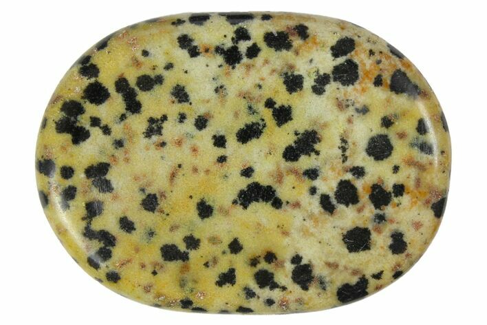 Polished Dalmatian Jasper Worry Stones - 1.5" Size - Photo 1